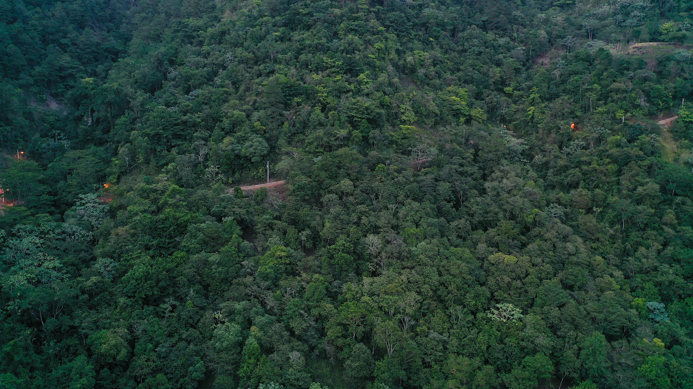 Bosque denso dentro del entorno montañoso del proyecto